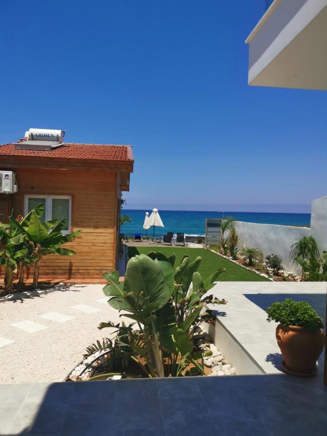 Ferienwohnung Agia Marina Chrysochous Kato Yialia Exterior foto