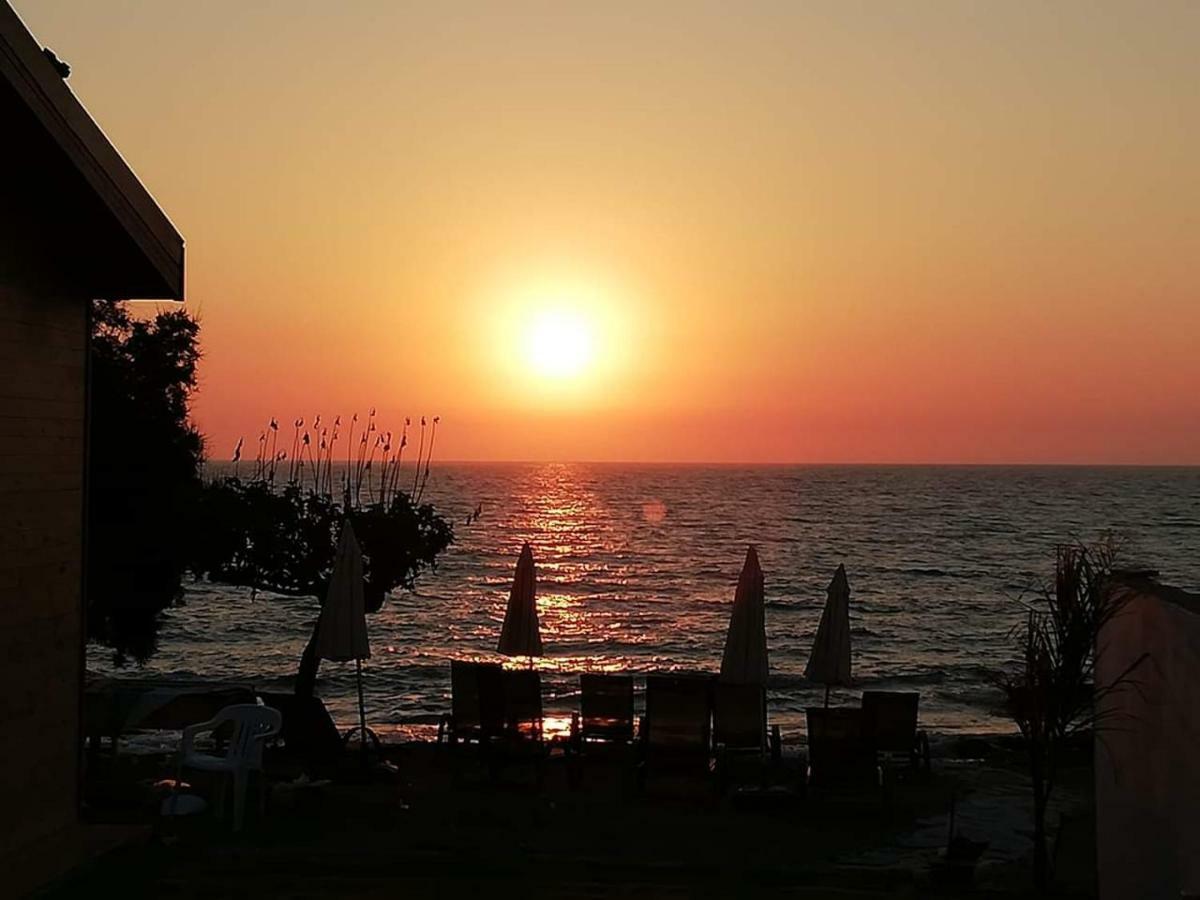 Ferienwohnung Agia Marina Chrysochous Kato Yialia Exterior foto
